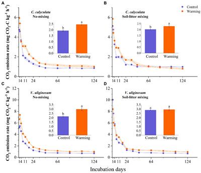 Effects of warming and litter positions on litter decomposition in a boreal peatland
